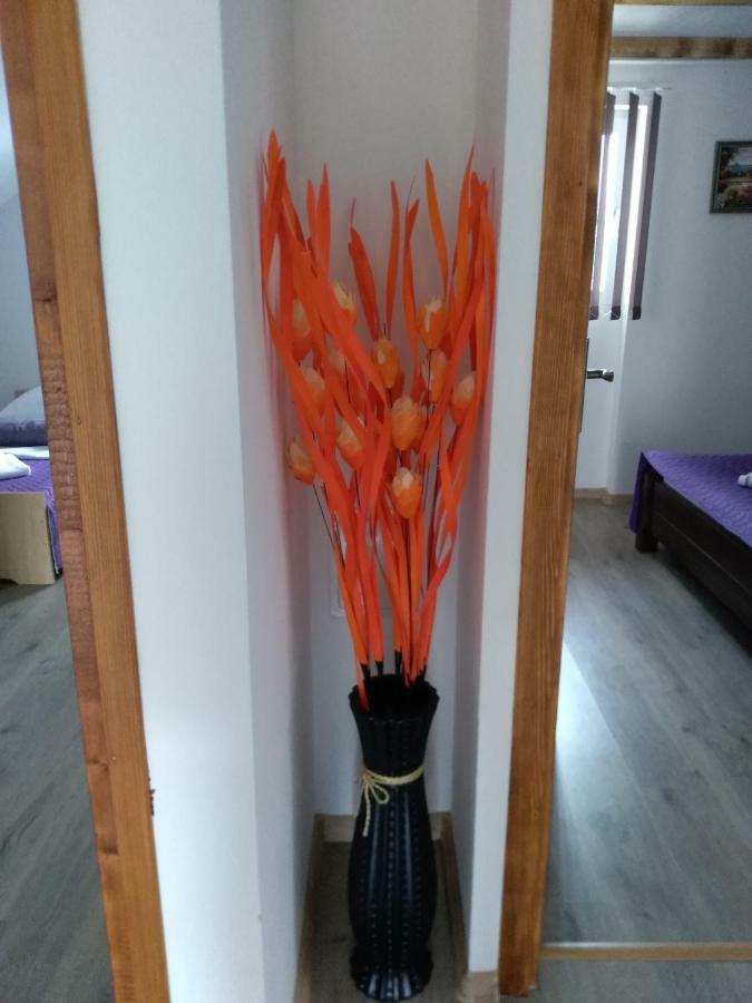 Apartman Nina Licko Petrovo Selo Extérieur photo